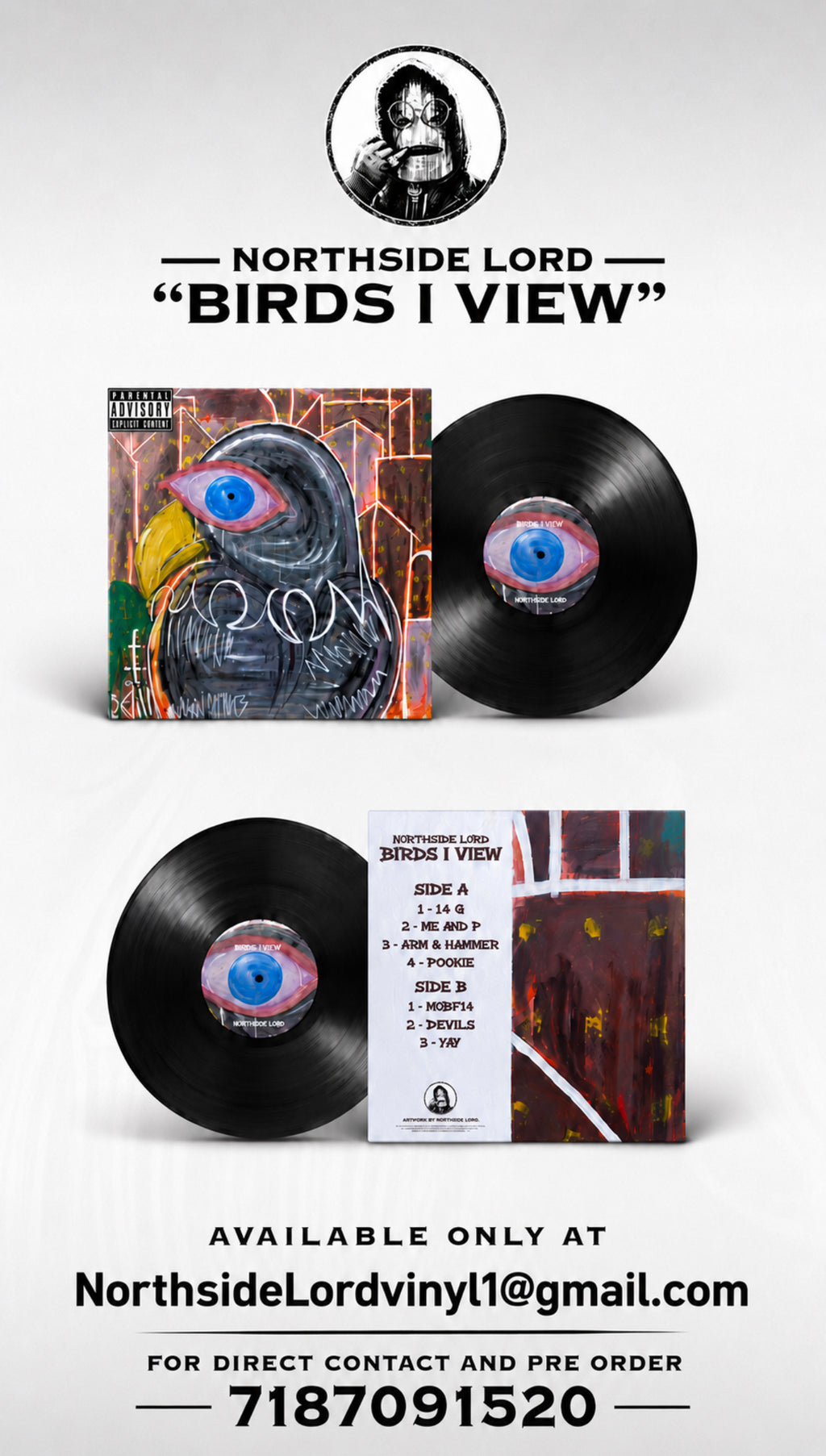 BIRDS I VIEW VINYL ( PRE ORDER)